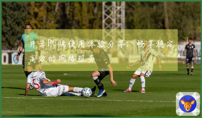 开云PC端使用体验分享：畅享稳定高效的网络服务