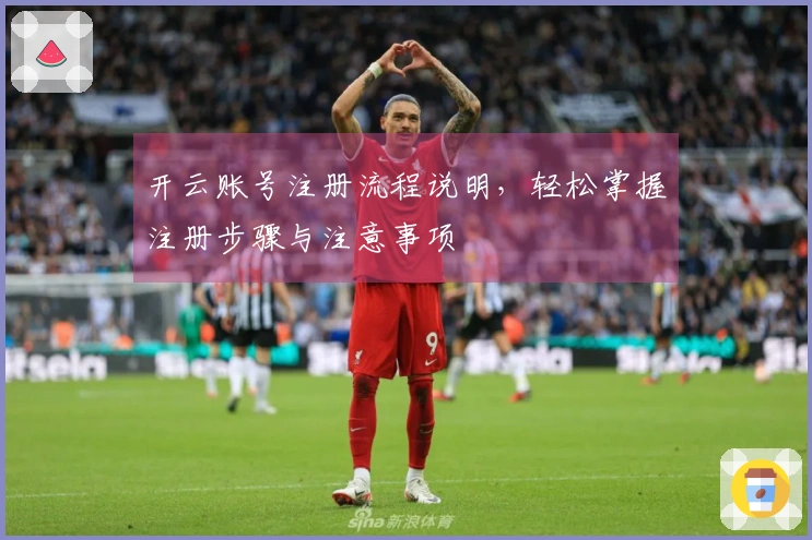 开云账号注册流程说明，轻松掌握注册步骤与注意事项